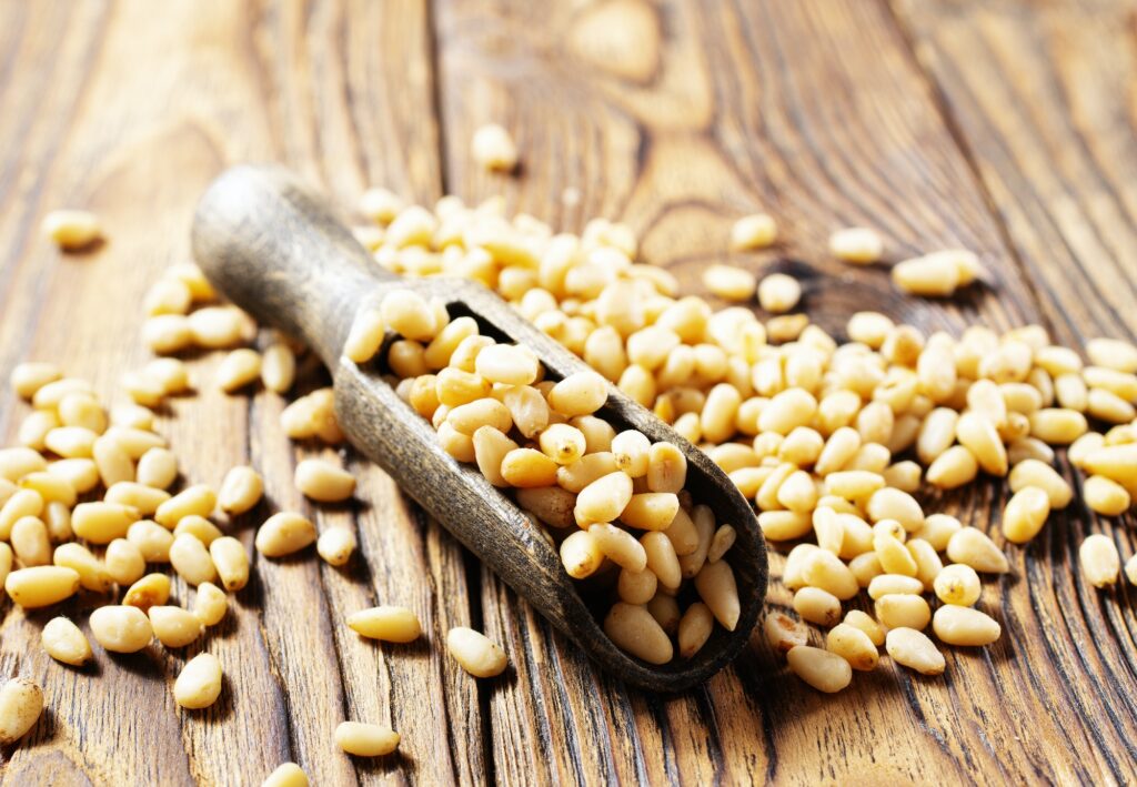 Pine nuts (cedar nuts). Delicious siberian product with nice taste and hale. Top view.