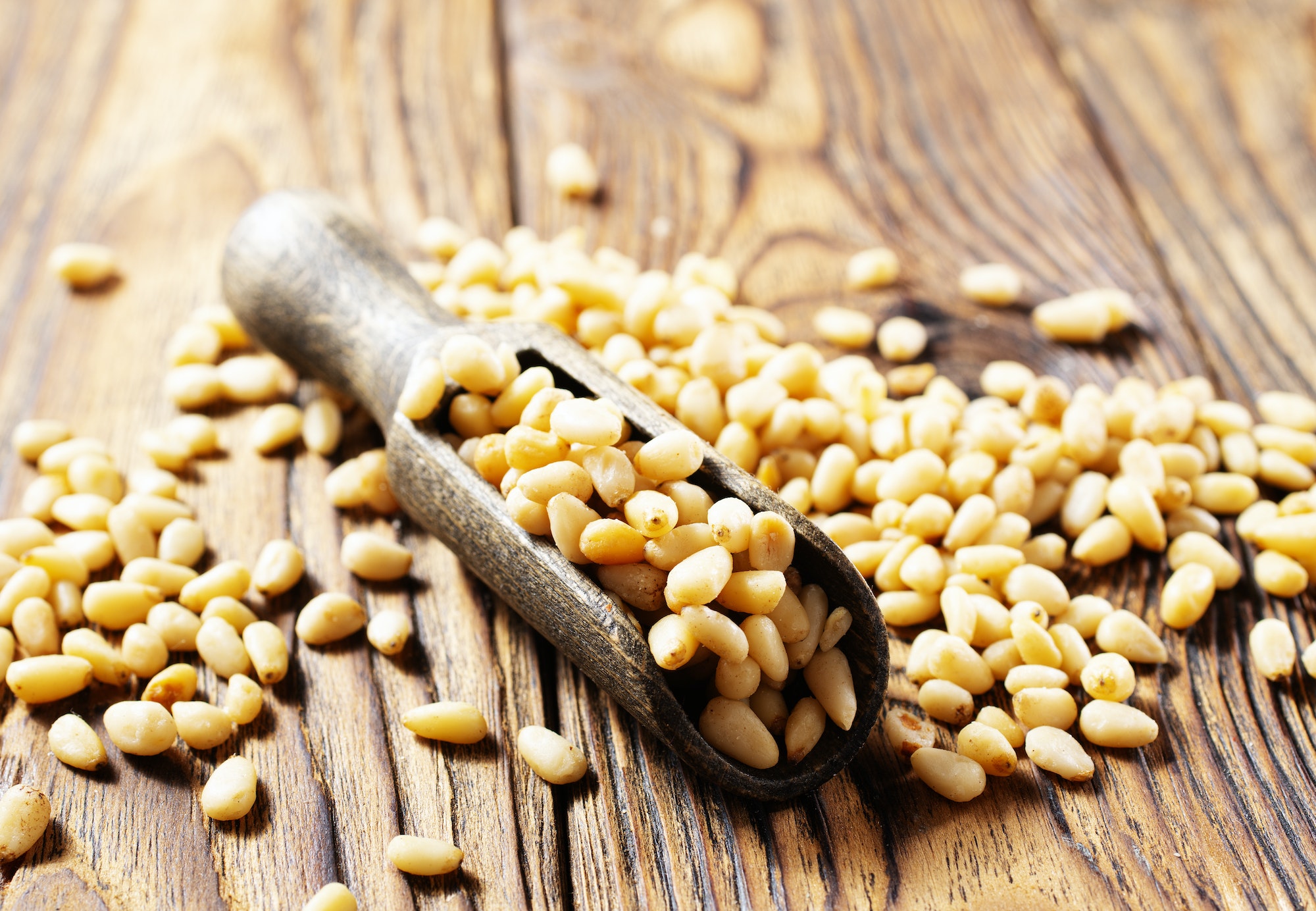 Pine nuts (cedar nuts). Delicious siberian product with nice taste and hale. Top view.